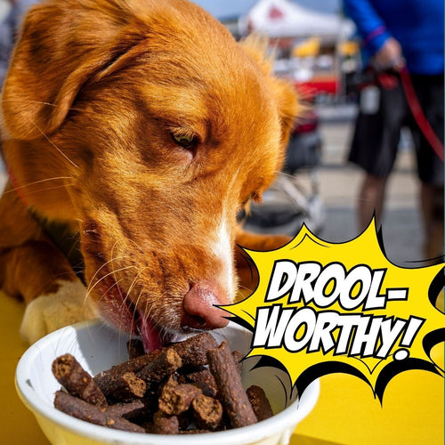 Birthday Dog Treats, 4-Pack