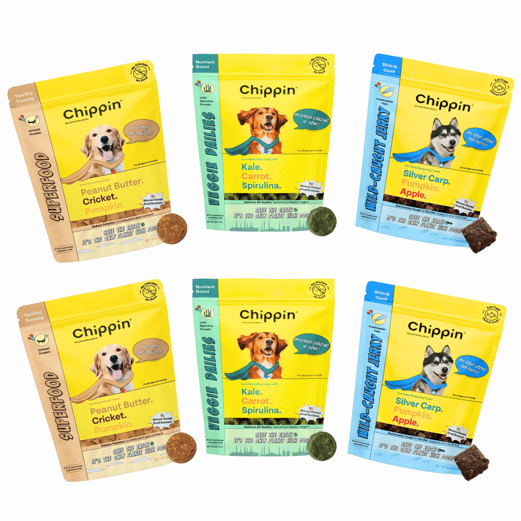 Allergy-Friendly Dog Treats, 6-Pack