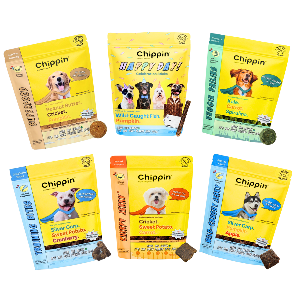 Variety Gift Bundle, 6-Pack