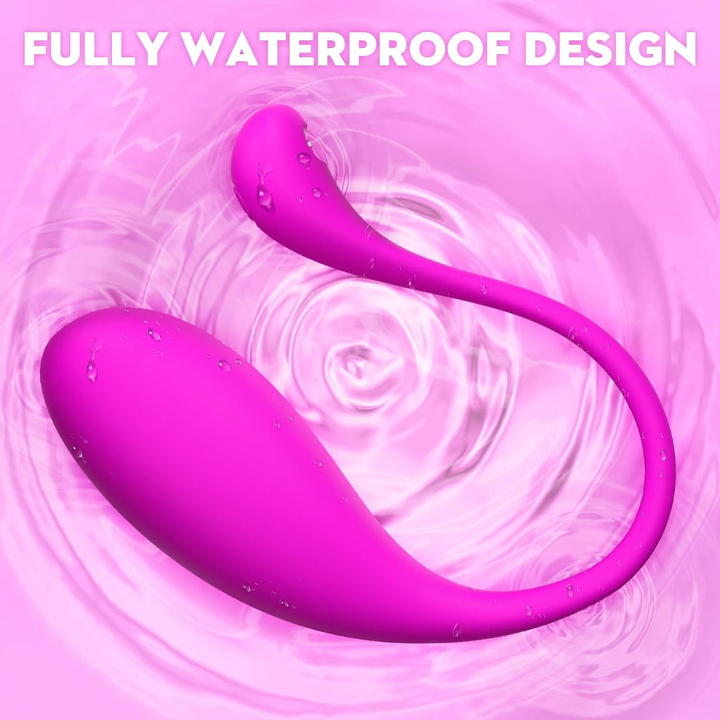 VioletLink App Control Panty Vibrator Egg