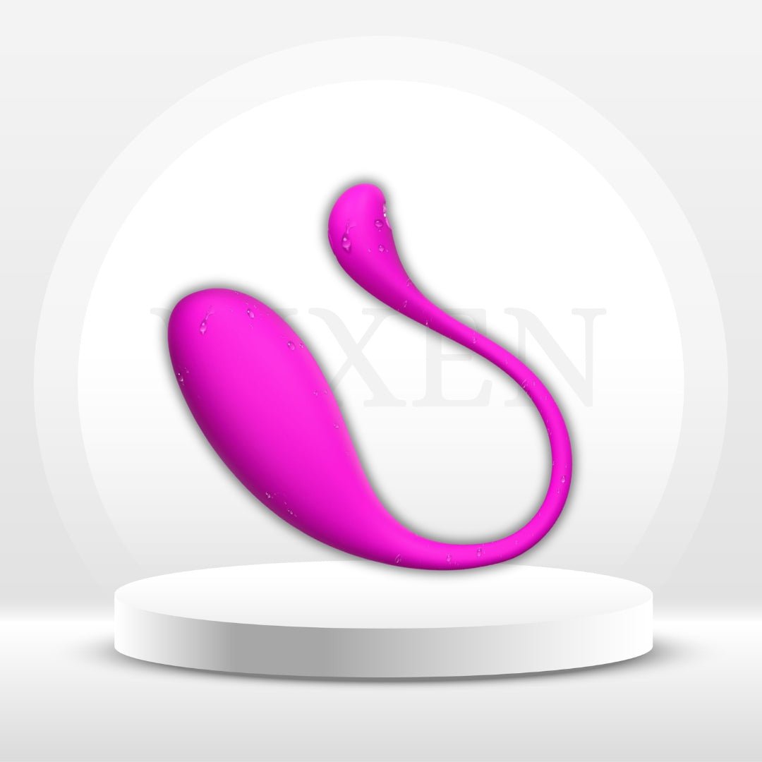 VioletLink App Control Panty Vibrator Egg